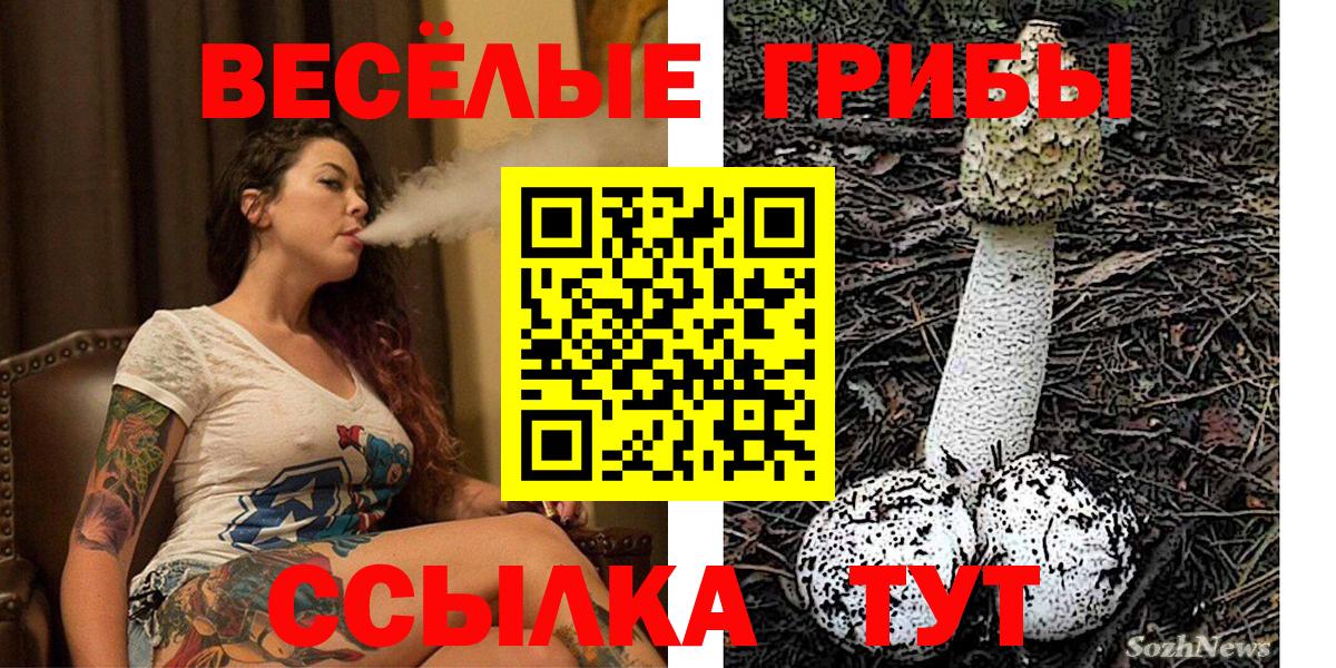 Южноуральск  Галлюциногенные грибы ЛСД  Вход с VPN 