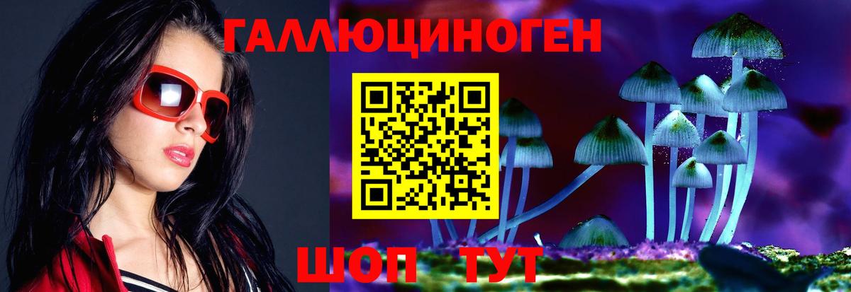 Галлюциногенные грибы Psilocybe Южноуральск
